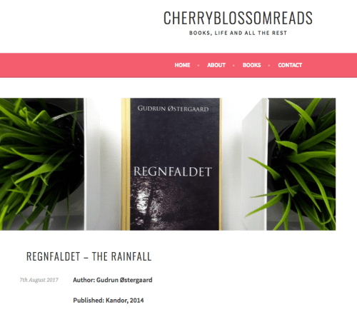 anmeldelse Regnfaldet